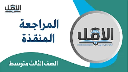 المراجعة المنقذة